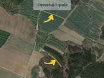 Prodej lesa, Boskovice, Šemberova, 1395 m2