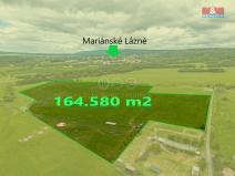 Prodej pole, Mariánské Lázně - Stanoviště, 164580 m2
