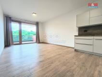 Pronájem bytu 1+kk, Slaný, Lázeňská, 35 m2