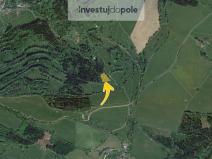 Prodej lesa, Horní Branná - Valteřice, 1989 m2