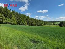 Prodej pozemku pro bydlení, Borová, 7429 m2