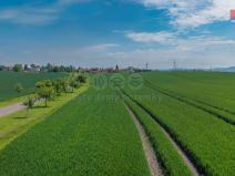 Prodej pozemku, Plazy, 4280 m2