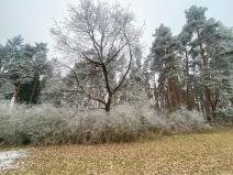 Prodej pole, Slatina, 10514 m2