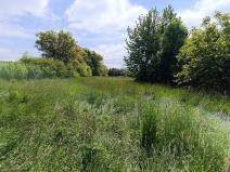 Prodej zemědělské usedlosti, Kožlany, 180 m2