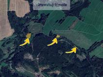 Prodej lesa, Prosíčka - Dolní Prosíčka, 4042 m2