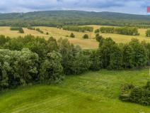 Prodej louky, Dětřichov, 4178 m2