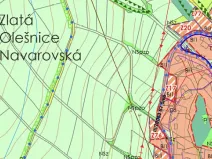 Prodej louky, Zlatá Olešnice, 3867 m2