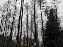 Prodej pozemku, Veliny, 16991 m2