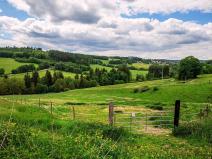 Prodej zemědělské usedlosti, Hlavňovice, 1841 m2