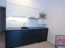 Pronájem bytu 1+kk, Praha - Karlín, U Mlýnského kanálu, 35 m2