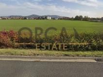 Prodej pozemku, Postřelmov, 9710 m2