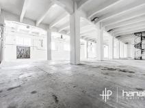 Prodej skladu, Olomouc, U cukrovaru, 964 m2