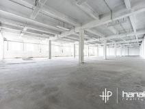 Prodej skladu, Olomouc, U cukrovaru, 964 m2