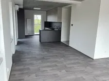 Pronájem bytu 3+kk, Kladno, Vrchlického, 148 m2