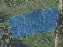 Prodej lesa, Louňovice pod Blaníkem, 4236 m2