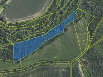 Prodej pozemku, Louňovice pod Blaníkem, 23891 m2