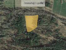 Prodej louky, Netvořice - Maskovice, 6305 m2