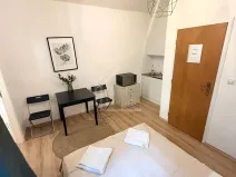 Pronájem bytu 1+kk, Praha - Smíchov, Na bělidle, 18 m2