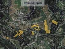 Prodej louky, Koberovy - Vrát, 4446 m2