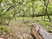 Prodej zahrady, Horní Jiřetín, 333 m2