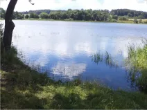 Dražba pozemku, Lipí, 480 m2