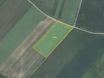 Prodej pole, Senorady, 41180 m2