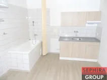 Pronájem bytu 1+kk, Praha - Nusle, U čtyř domů, 21 m2