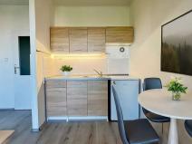 Pronájem bytu 1+kk, Ostrava, Čujkovova, 28 m2