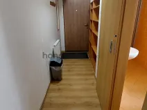 Pronájem bytu 1+kk, Brno, Údolní, 46 m2