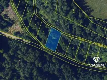 Prodej lesa, Buková, 981 m2