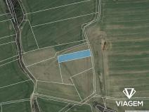 Prodej pole, Louňovice pod Blaníkem, 3038 m2
