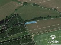 Prodej pole, Velký Vřešťov, 345 m2