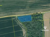 Prodej lesa, Lisov, 2042 m2