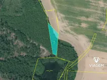 Prodej lesa, Velký Malahov, 1065 m2