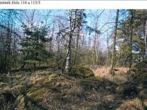 Prodej lesa, Osové, 21602 m2