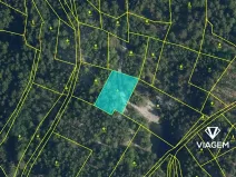 Prodej lesa, Železný Brod, 1350 m2