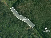 Prodej podílu lesa, Kněžmost, 2803 m2