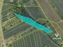 Prodej podílu lesa, Charváty, 1159 m2