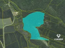 Prodej podílu lesa, Suchomasty, 10818 m2