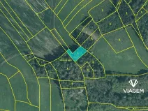 Prodej lesa, Kbel, 1072 m2