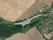 Prodej lesa, Bystřice, 6628 m2