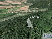 Prodej lesa, Poleň, 6991 m2