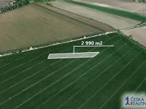 Prodej pole, Třibřichy, 2990 m2