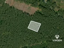 Prodej lesa, Štichov, 1133 m2