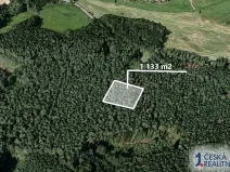Prodej lesa, Štichov, 1133 m2