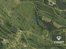 Prodej zahrady, Bělá u Jevíčka, 2248 m2