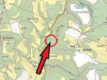Prodej lesa, Letovice, 2436 m2