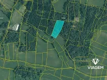 Prodej lesa, Budětice, 7622 m2