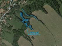 Prodej lesa, Valkeřice, 6752 m2