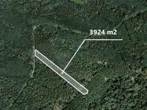 Prodej lesa, Hradiště, 3924 m2